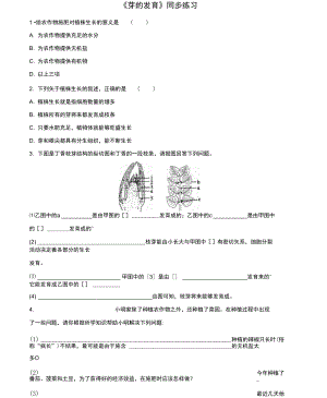 《芽的發(fā)育》同步練習(xí)2