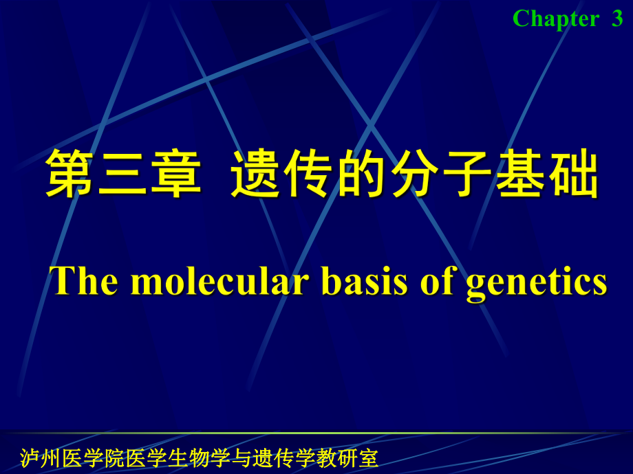 医学遗传学：第三章 遗传的分子基础_第1页