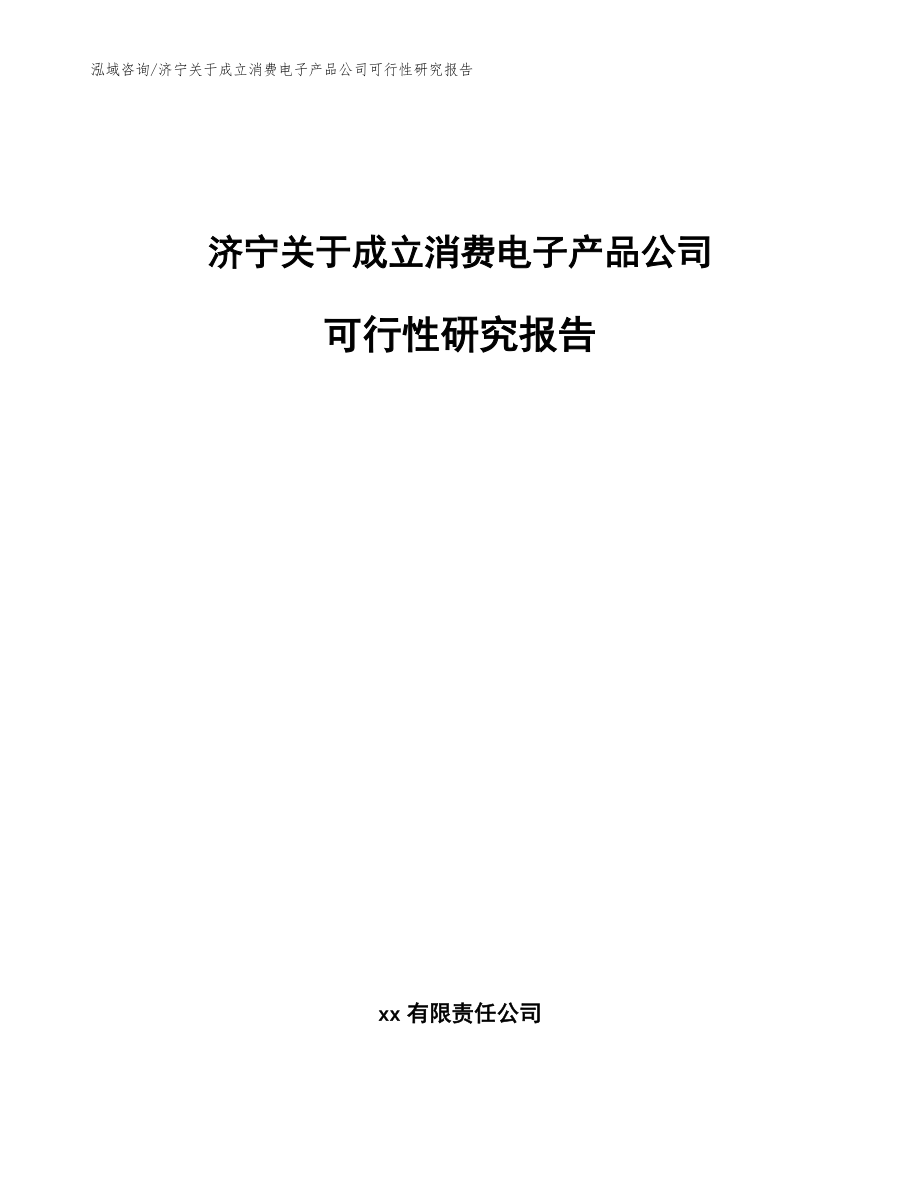 济宁关于成立消费电子产品公司可行性研究报告（模板参考）_第1页