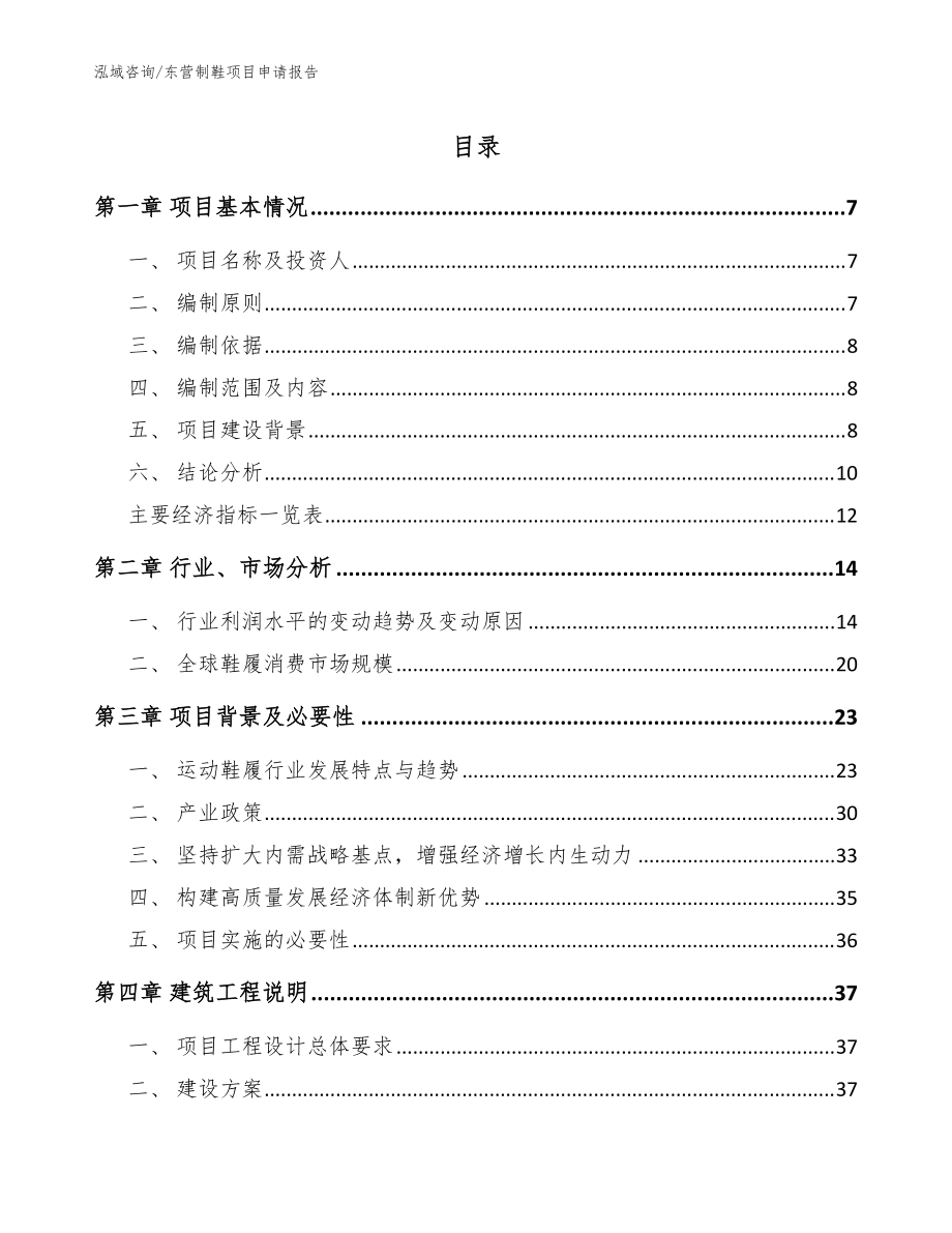 东营制鞋项目申请报告【模板范文】_第1页