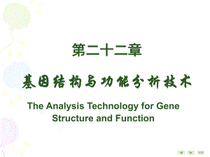 生物化学与分子生物学：基因结构与功能分析