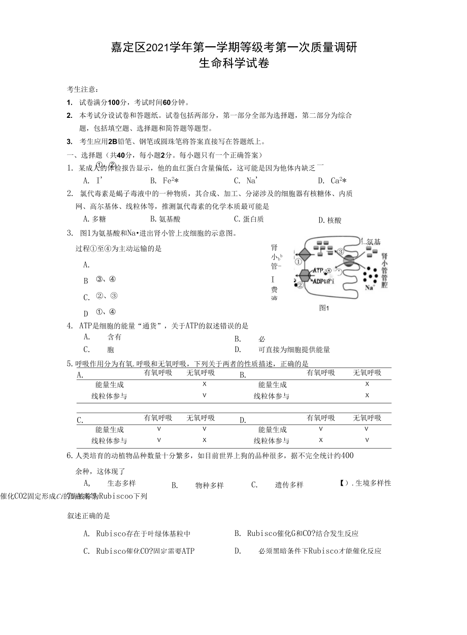 上海市嘉定区2021-2022学年第一学期等级考第一次质量调研 生命科学试卷_第1页