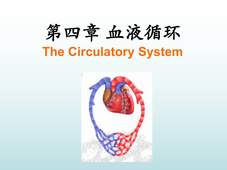 生理學(xué)教學(xué)課件：第四章 血液循環(huán)1_第1頁