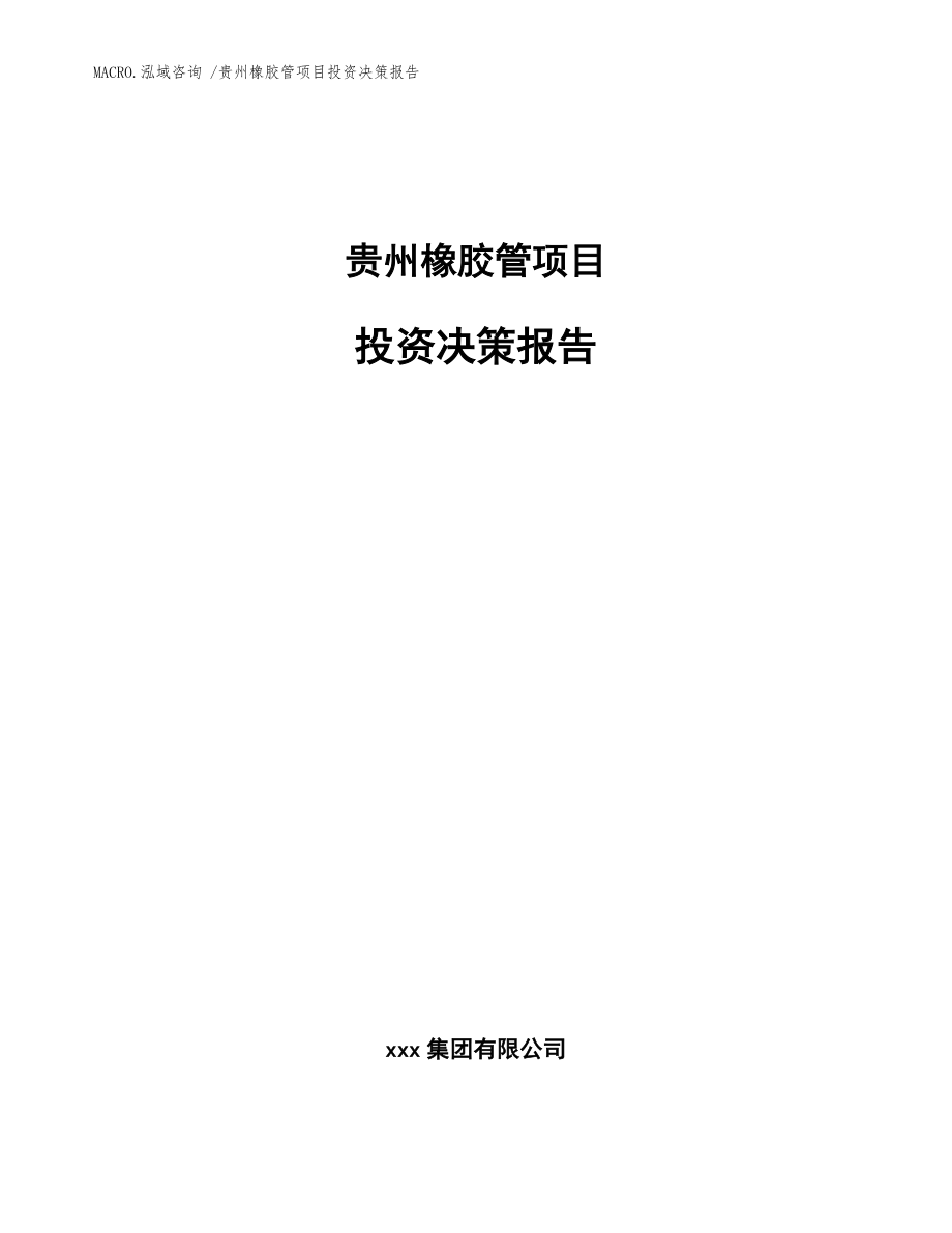 贵州橡胶管项目投资决策报告_范文模板_第1页