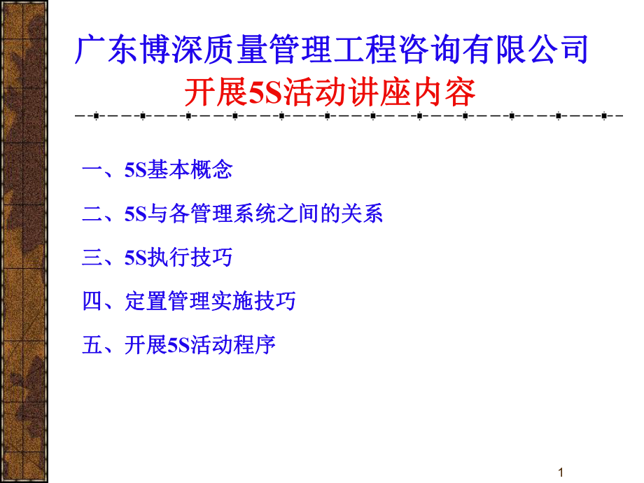 5S 活动讲义及实施指南_第1页