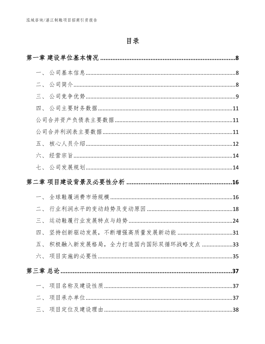 湛江制鞋项目招商引资报告模板范本_第1页