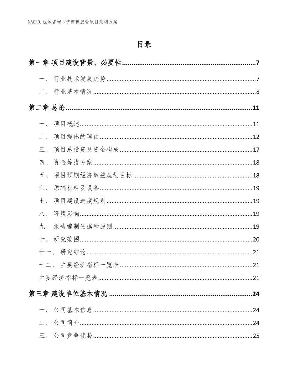 济南橡胶管项目策划方案_范文_第1页
