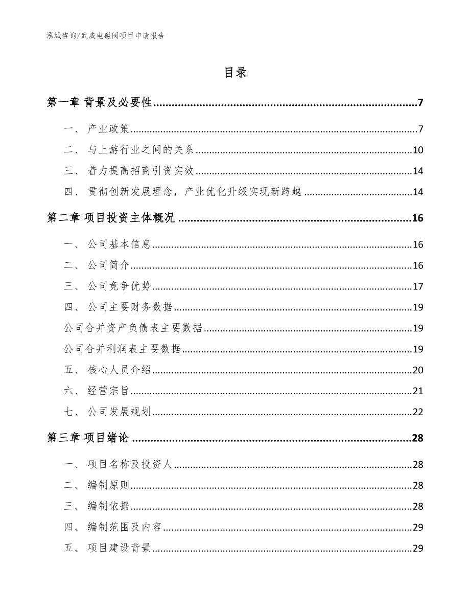 武威电磁阀项目申请报告_范文参考_第1页