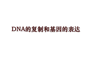 DNA的复制和基因的表达