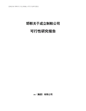 邯郸关于成立制鞋公司可行性研究报告【模板参考】