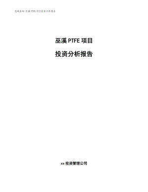 巫溪PTFE项目投资分析报告【模板参考】