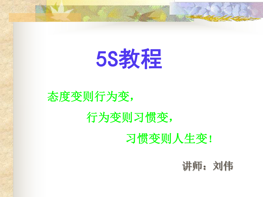 5S培訓(xùn)教程(PPT34頁(yè))_第1頁(yè)