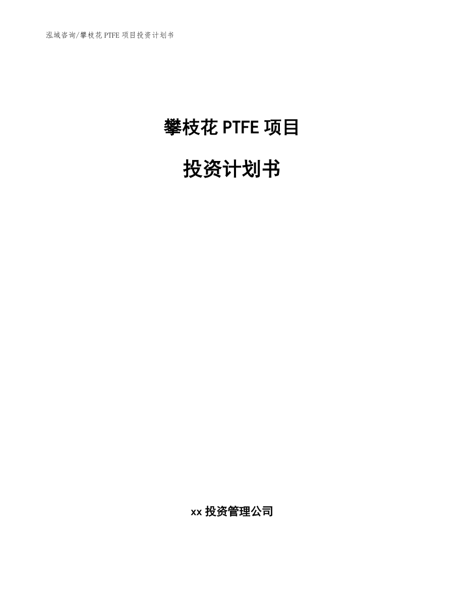 攀枝花PTFE项目投资计划书【模板参考】_第1页