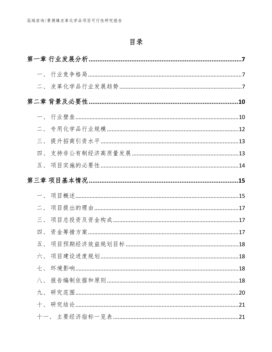 景德镇皮革化学品项目可行性研究报告（模板）_第1页