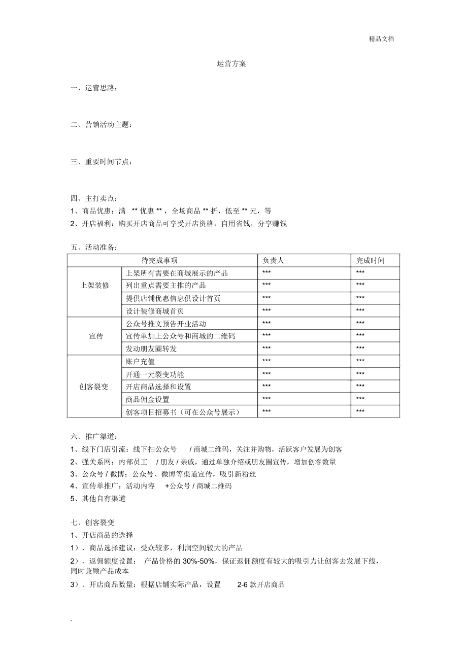 运营方案模板_第1页