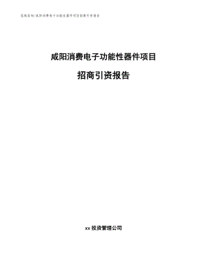 咸阳消费电子功能性器件项目招商引资报告（范文模板）