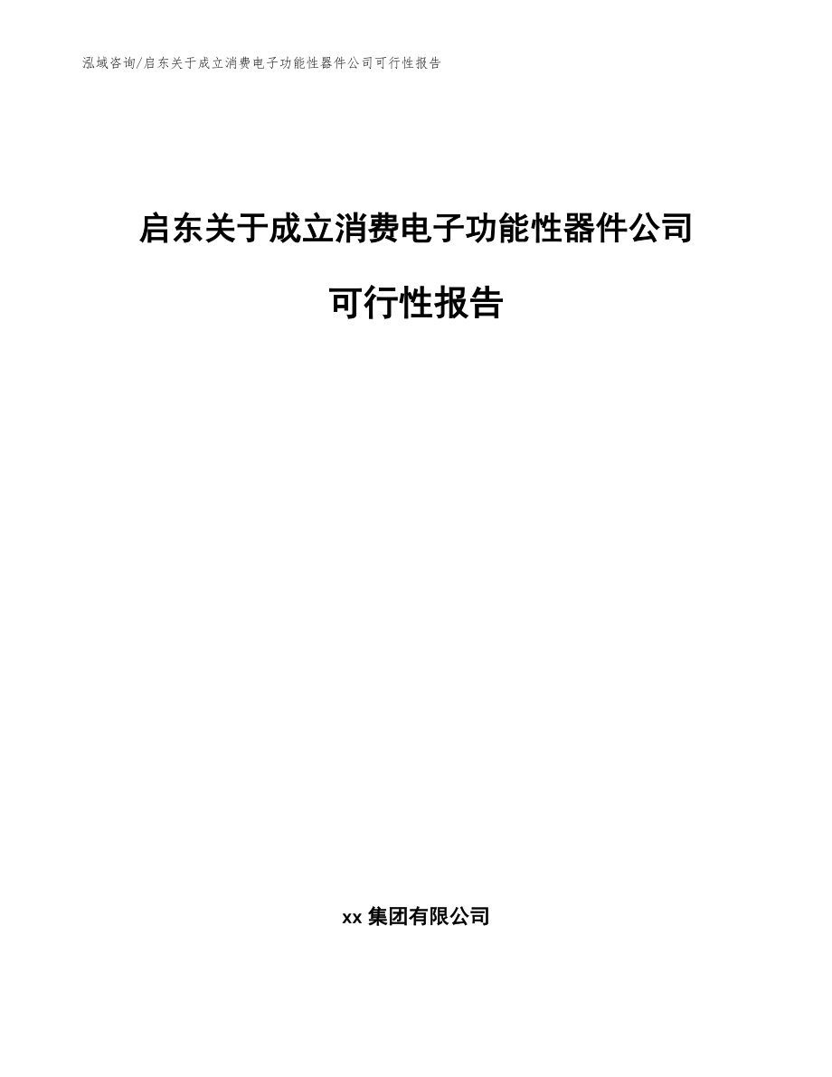 启东关于成立消费电子功能性器件公司可行性报告_参考模板_第1页