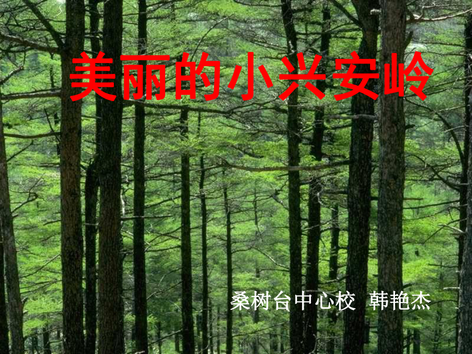 《美麗的小興安嶺》課件 (3)_第1頁(yè)