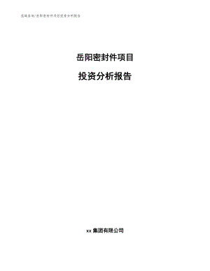 岳阳密封件项目投资分析报告（模板）