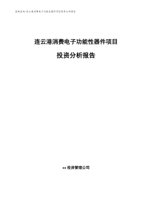 连云港消费电子功能性器件项目投资分析报告范文参考