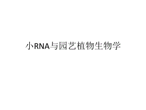 基因组学课件：小RNA与园艺植物生物学