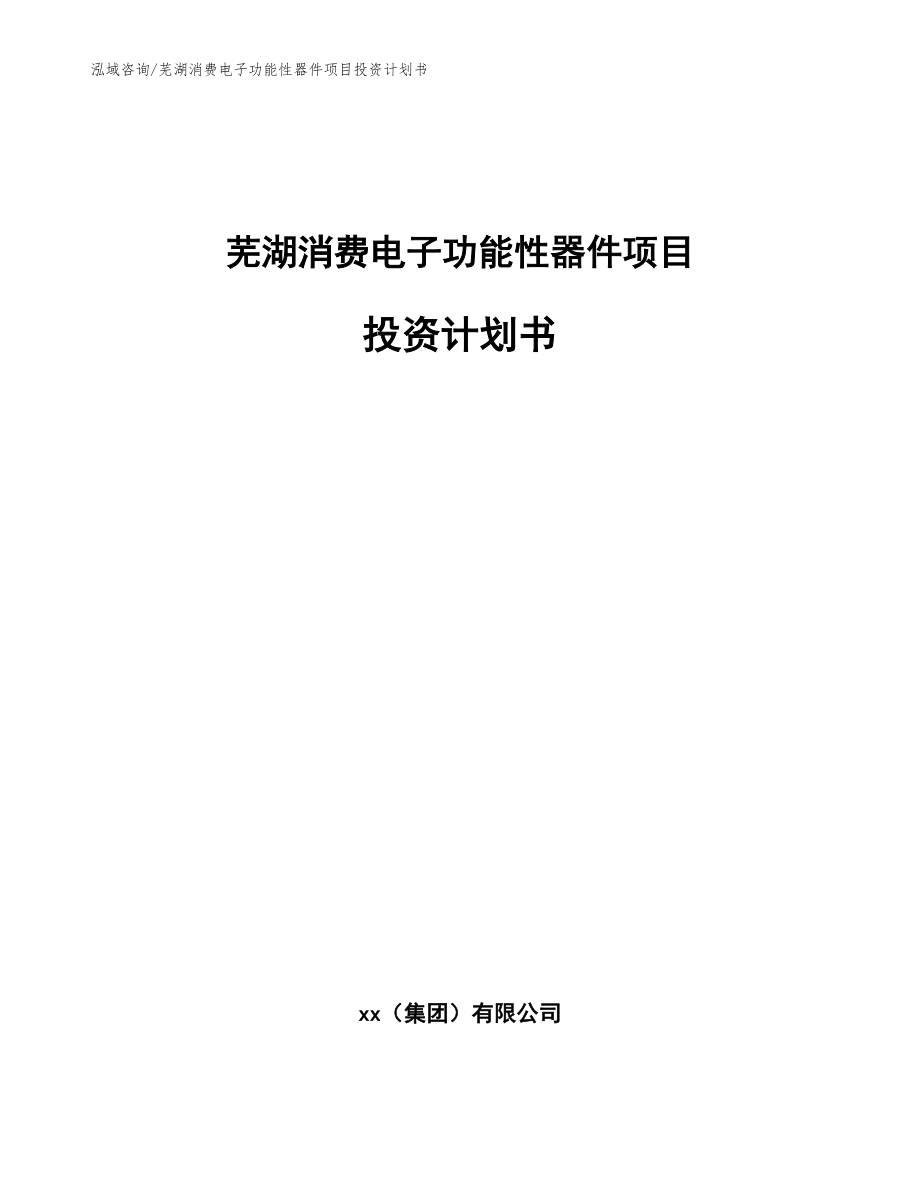 芜湖消费电子功能性器件项目投资计划书_模板参考_第1页