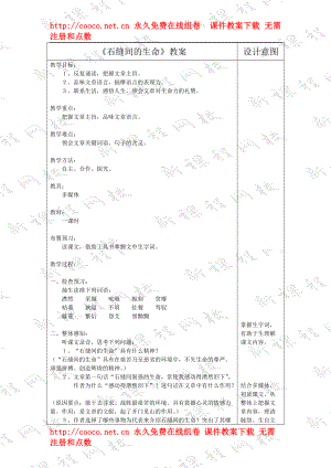 《石縫間的生命》 表格式教案 2doc--初中語(yǔ)文