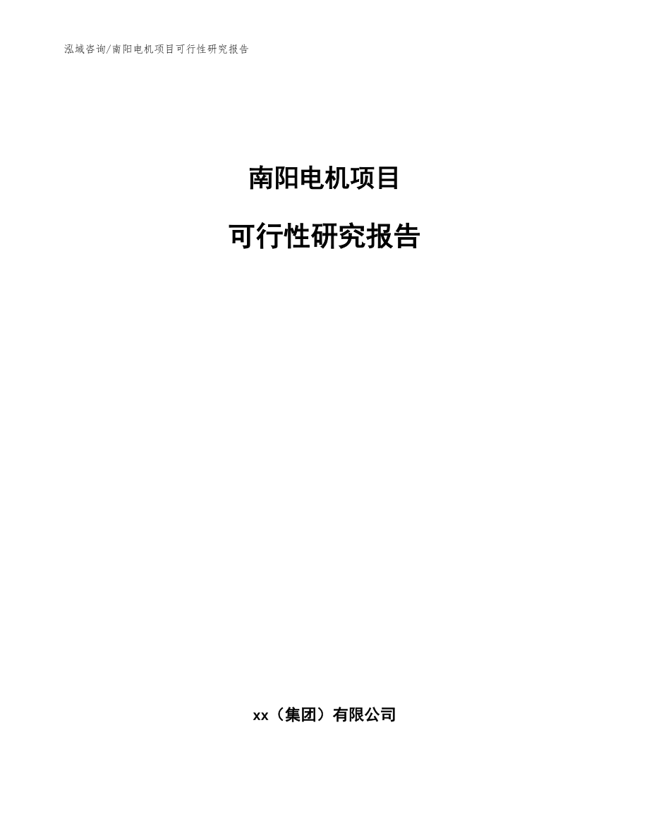 南阳电机项目可行性研究报告范文_第1页