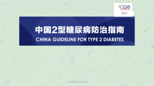 中国型糖尿病防治指南版课件