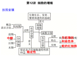 考点1细胞增殖