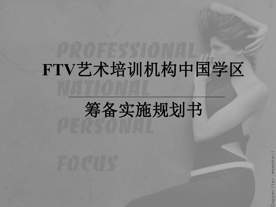 FTV艺术培训机构中国学区筹备实施规划(共37张)_第1页