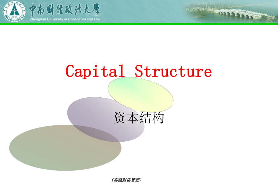 资本结构(Capital-Structure)课件_第1页