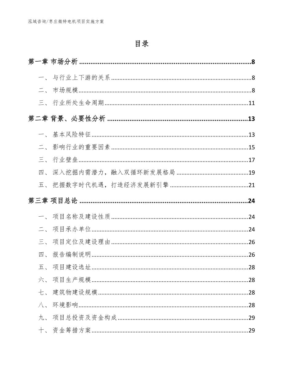 枣庄微特电机项目实施方案参考范文_第1页
