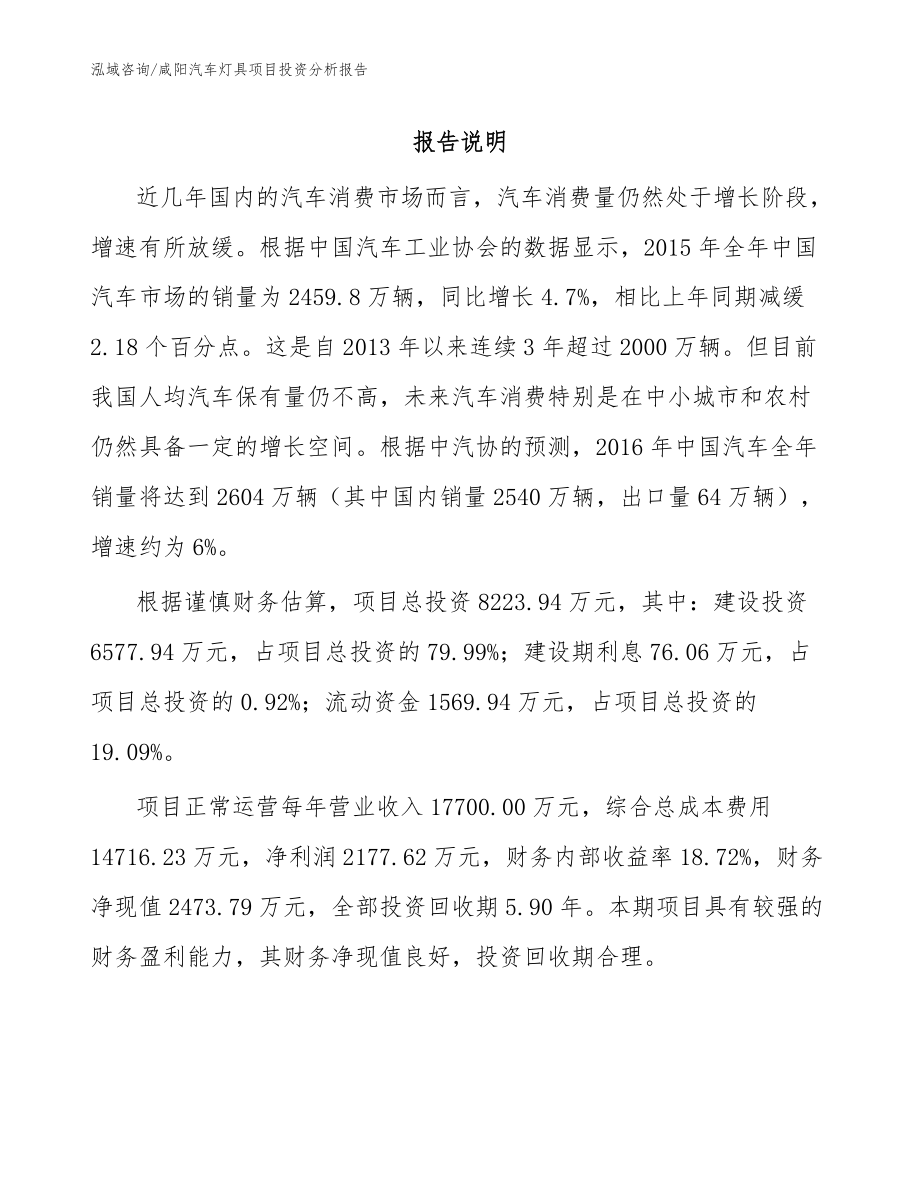 咸阳汽车灯具项目投资分析报告（范文）_第1页