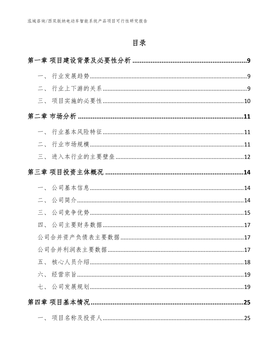 西双版纳电动车智能系统产品项目可行性研究报告【范文参考】_第1页