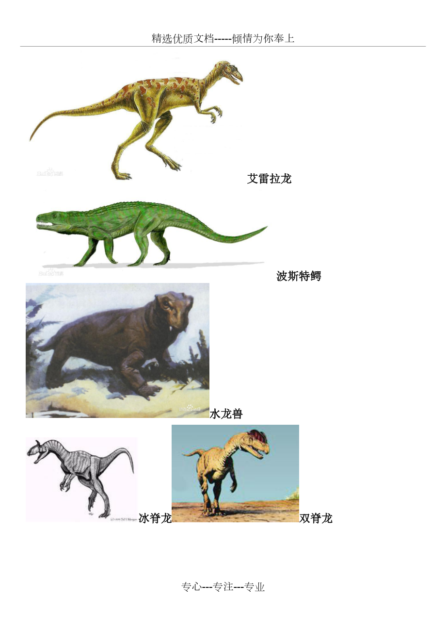 大型食草恐龙 名字图片