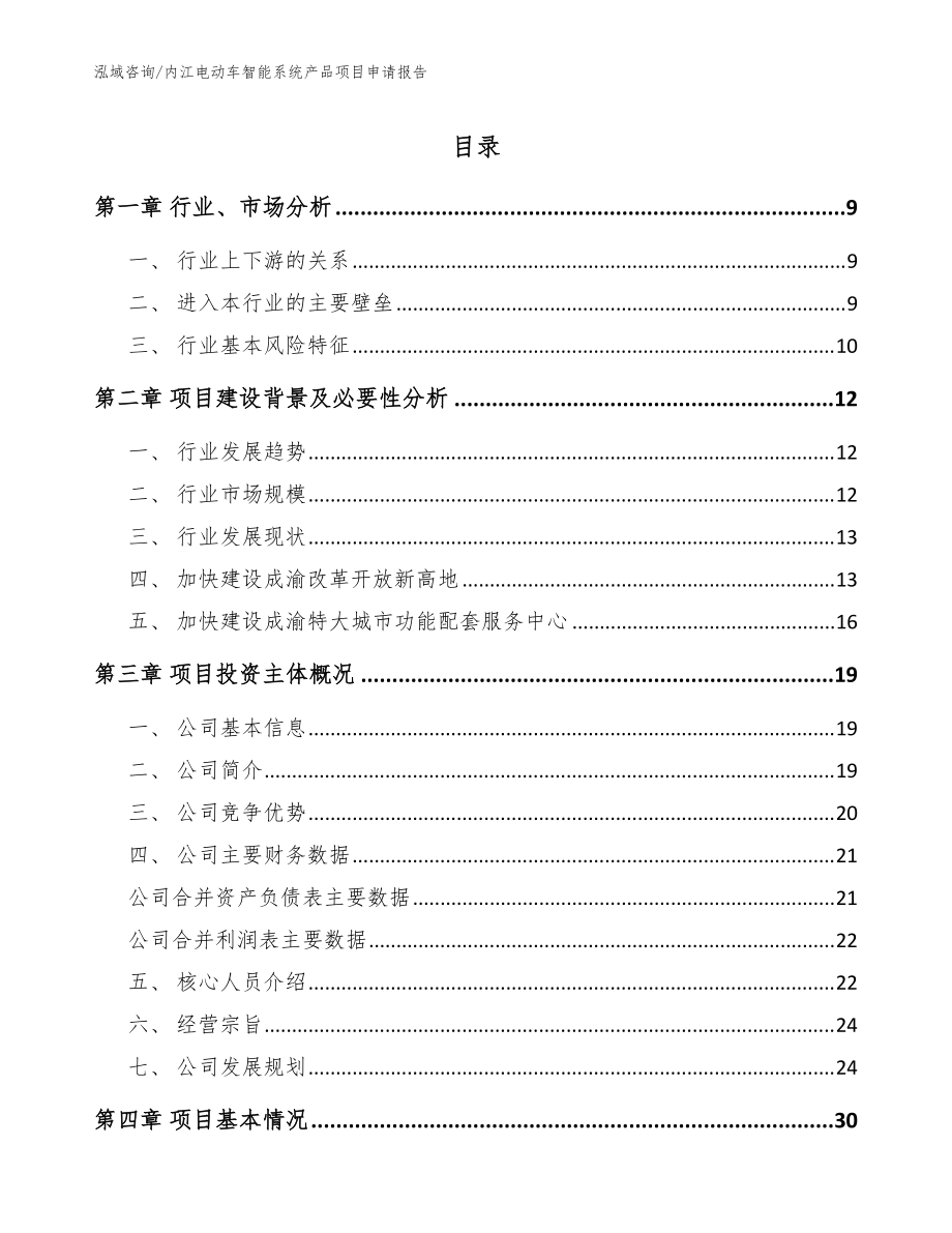 内江电动车智能系统产品项目申请报告（模板参考）_第1页