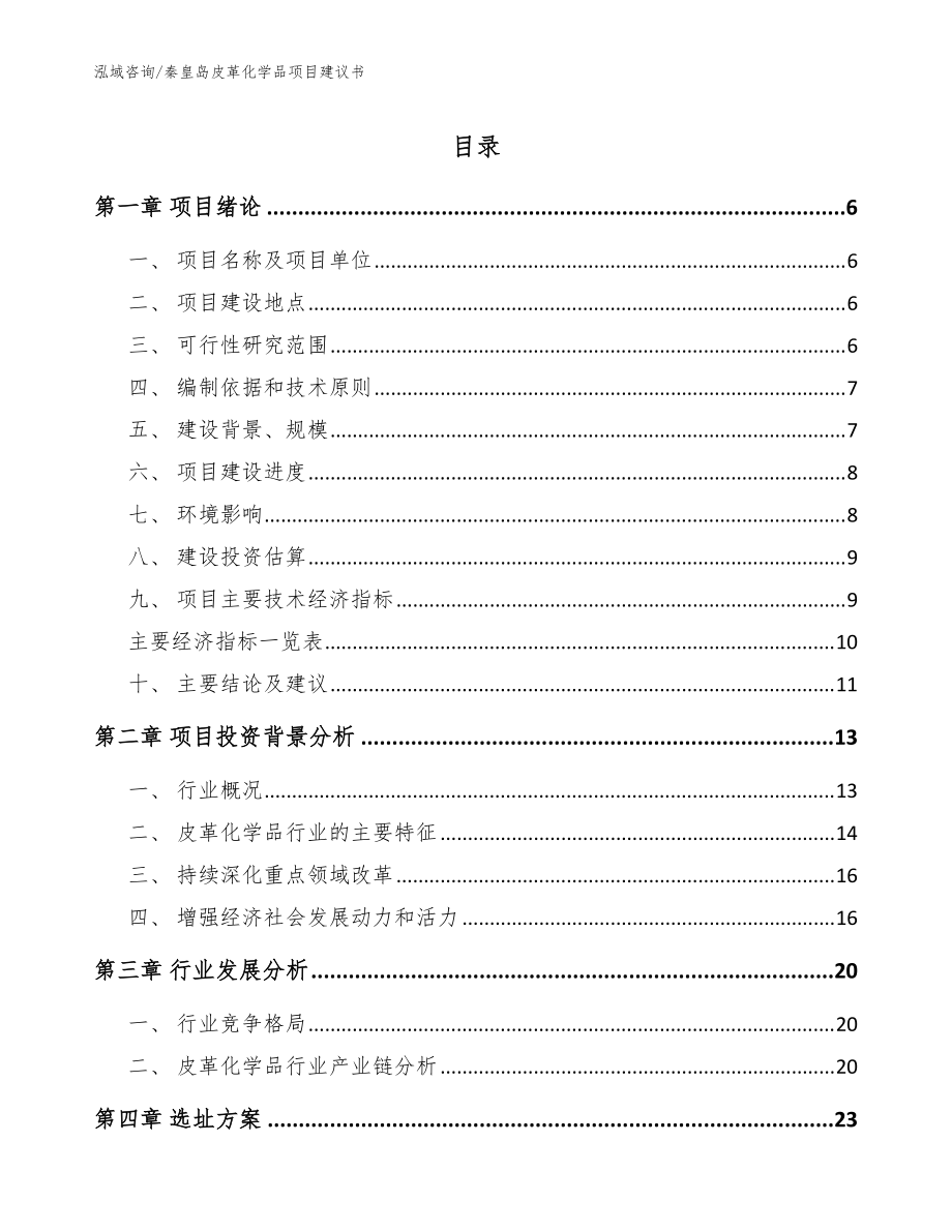 秦皇岛皮革化学品项目建议书参考模板_第1页