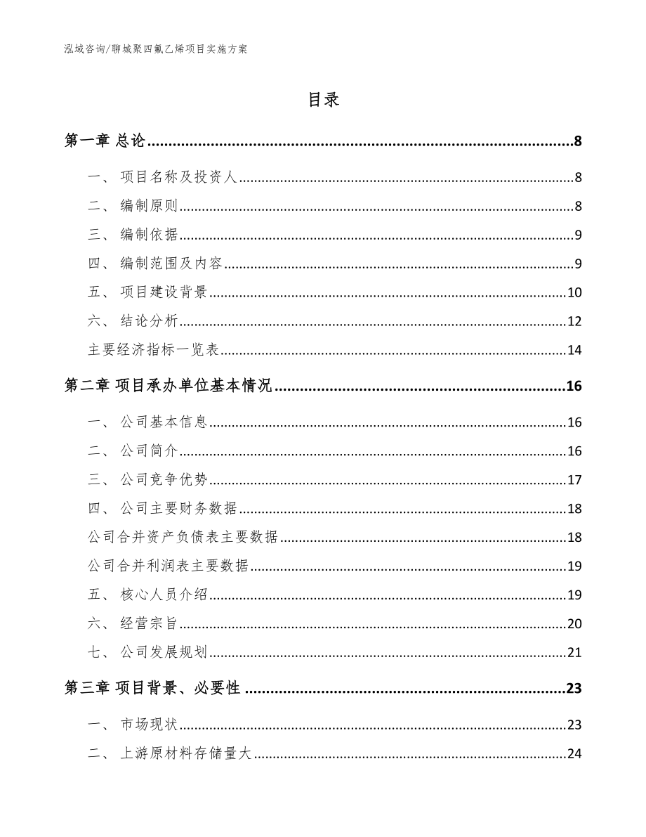 聊城聚四氟乙烯项目实施方案（模板范文）_第1页
