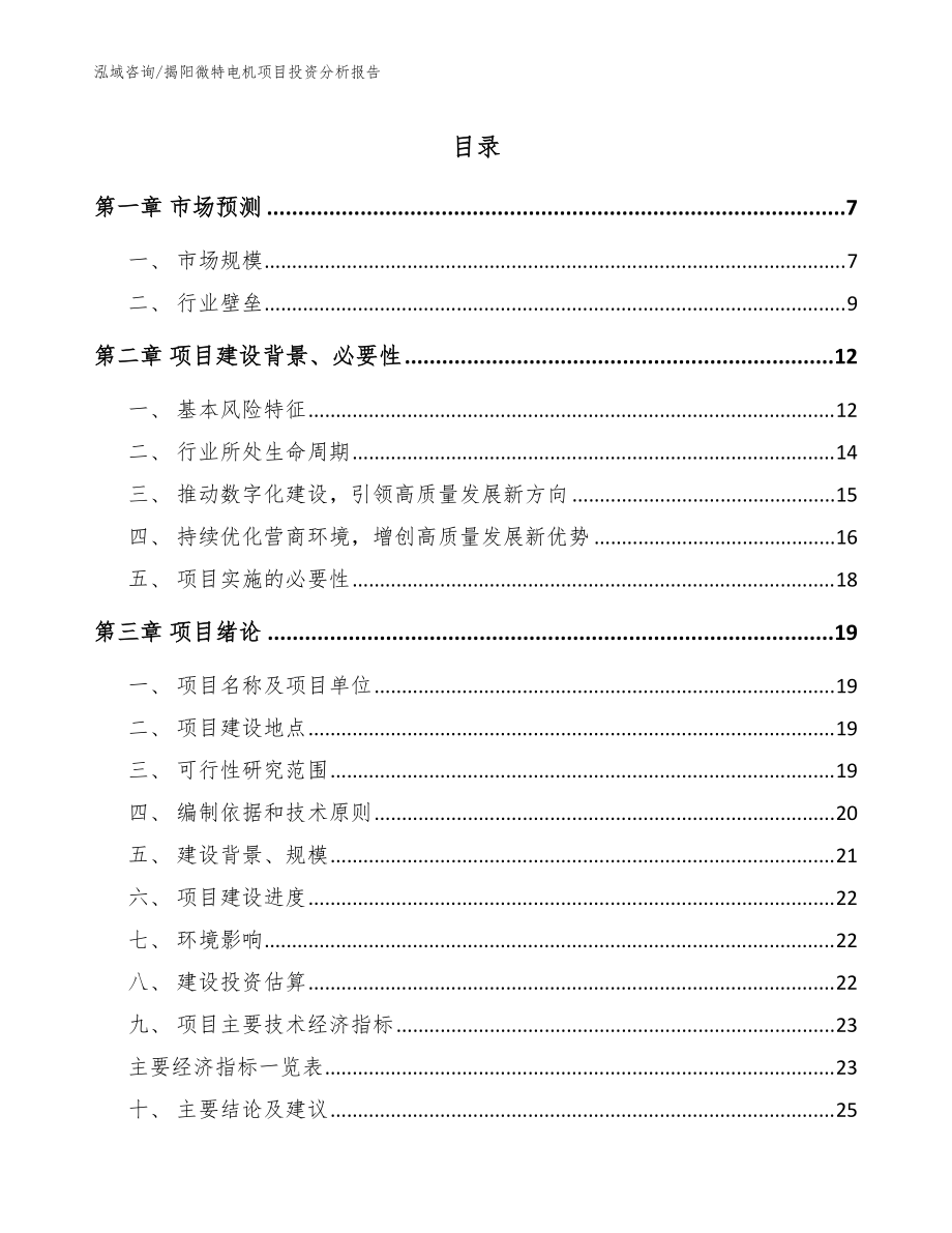 揭阳微特电机项目投资分析报告（模板）_第1页