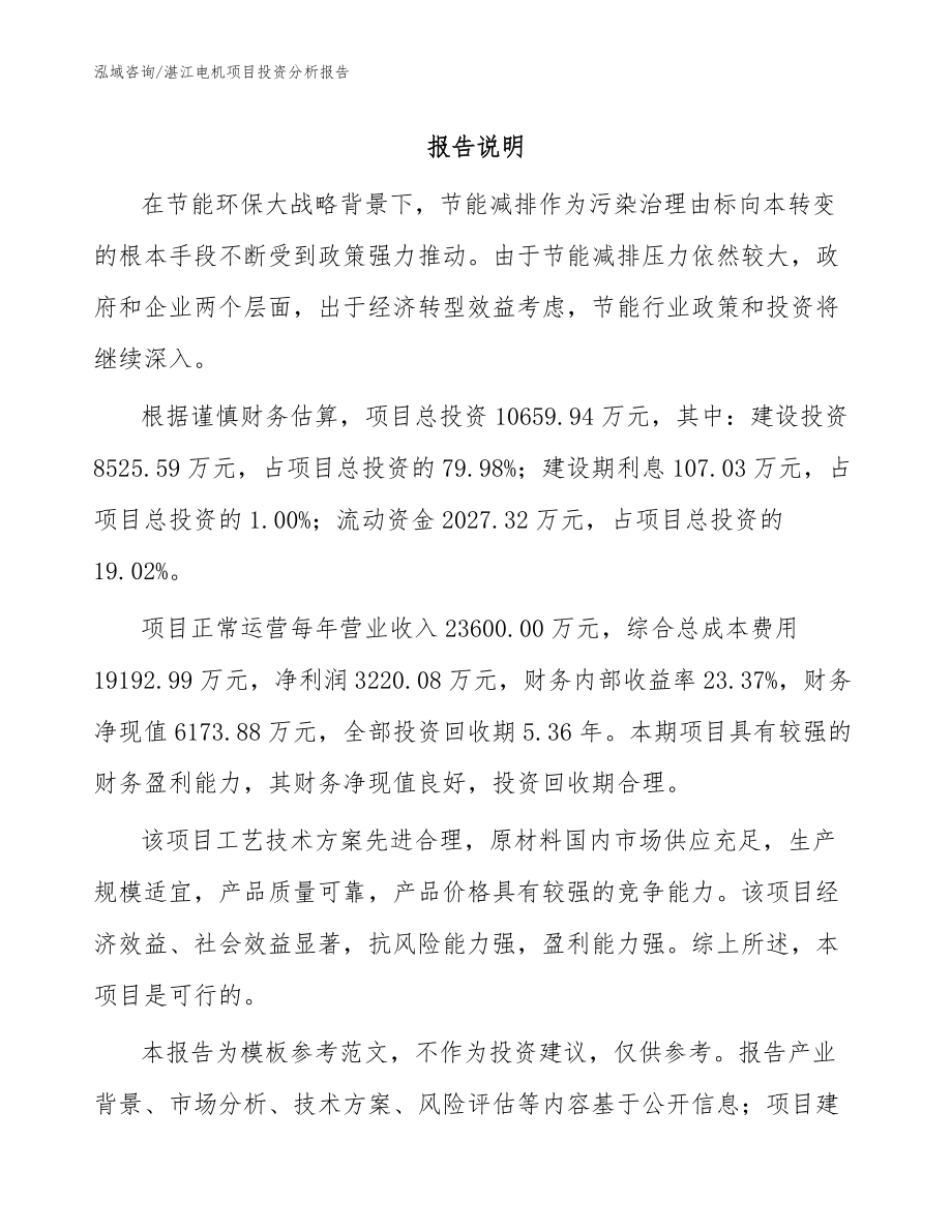 湛江电机项目投资分析报告范文模板_第1页