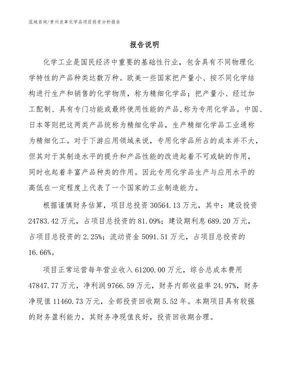 贵州皮革化学品项目投资分析报告【参考范文】_第1页
