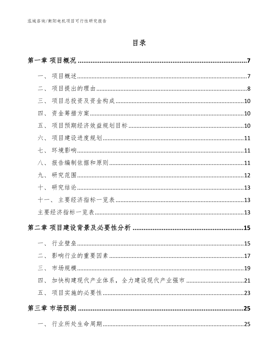 衡阳电机项目可行性研究报告【范文模板】_第1页