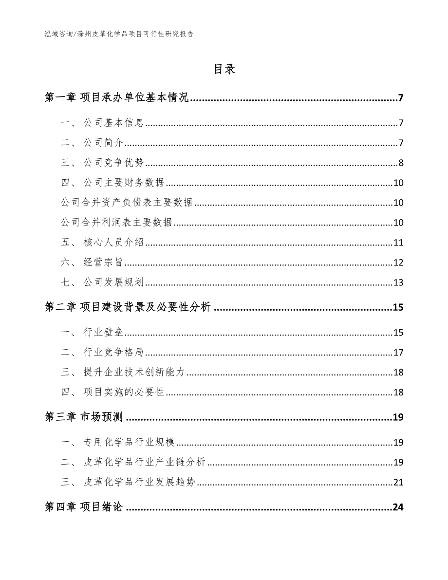 滁州皮革化学品项目可行性研究报告【模板参考】_第1页