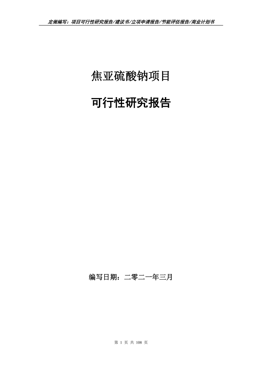 焦亚硫酸钠项目可行性研究报告写作范本_第1页