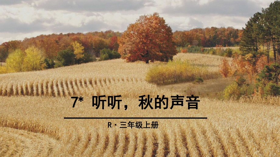 三年级上册语文课件 7 听听秋的声音 人教（部编版） (PPT 22页)_第1页