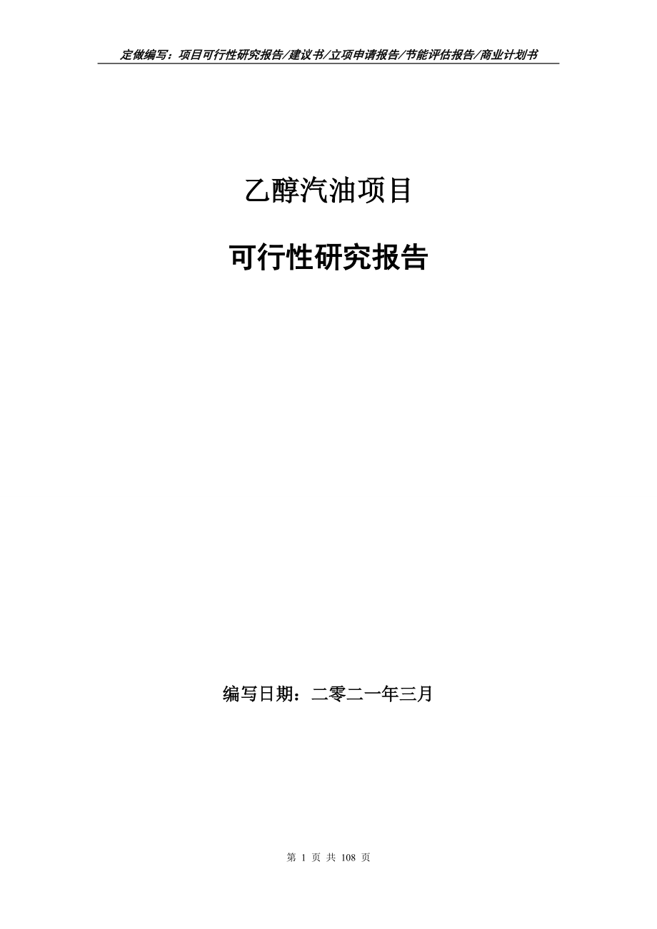 乙醇汽油项目可行性研究报告写作范本_第1页