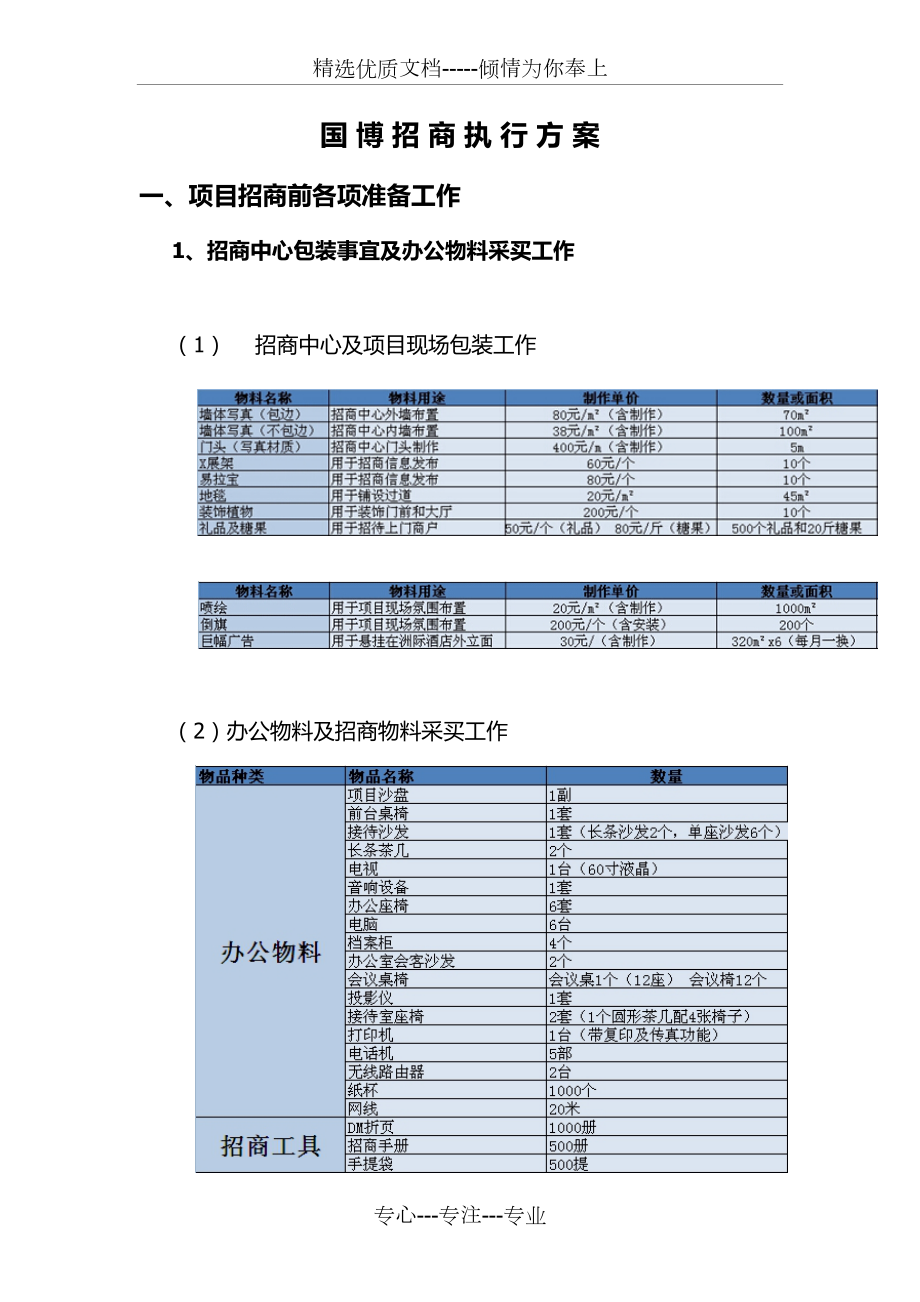 招商执行方案新(共13页)_第1页