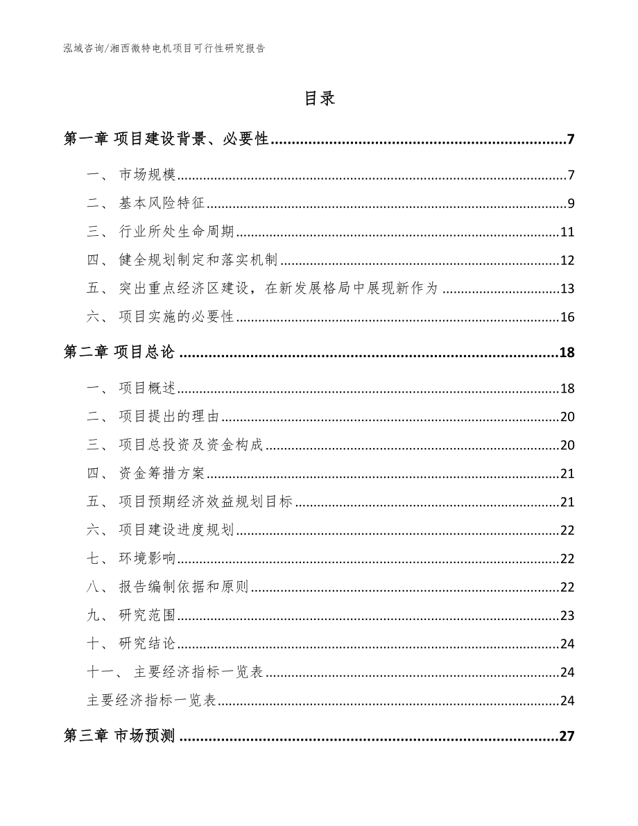 湘西微特电机项目可行性研究报告（模板范文）_第1页