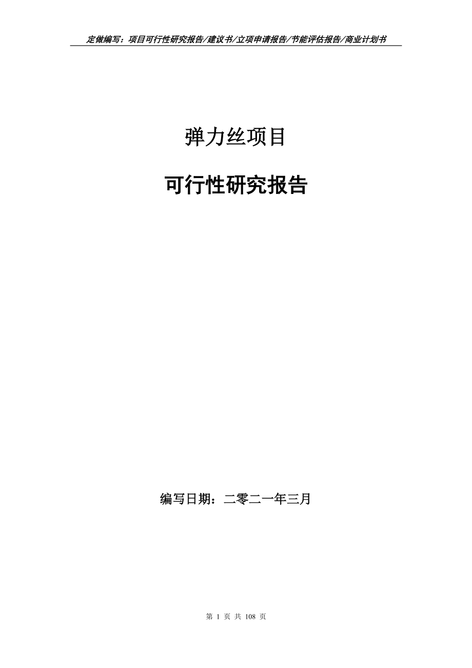 弹力丝项目可行性研究报告写作范本_第1页
